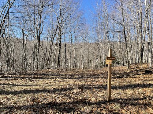 trail in December at Partridge Woods in southern New Hampshire