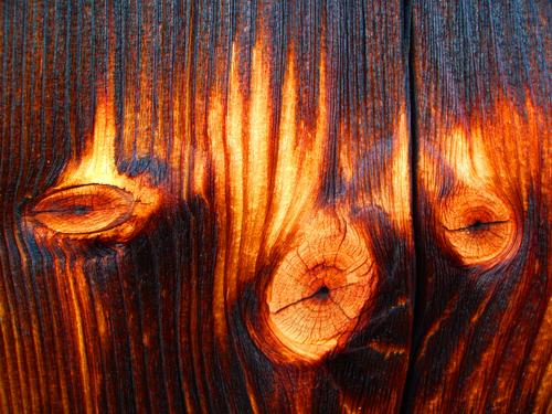 barn shingle as abstract art on the trail to Mount Passaconaway in New Hampshire