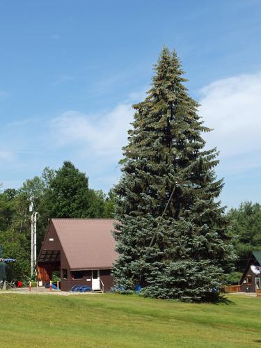 beautiful trees and buildings at Pats Peak in New Hampshire