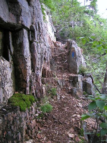 rough section of the Lawrence Trail to Mount Paugus in New Hampshire