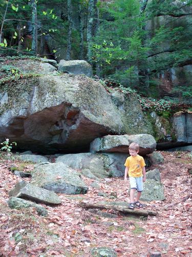 woods trail to Pawtuckaway South Mountain in New Hampshire