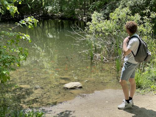 pond in May at Peaked Mountain near Monson in south-central MA