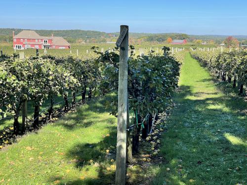 Lookout Farm in October beside Pegan Hill in eastern Massachusetts