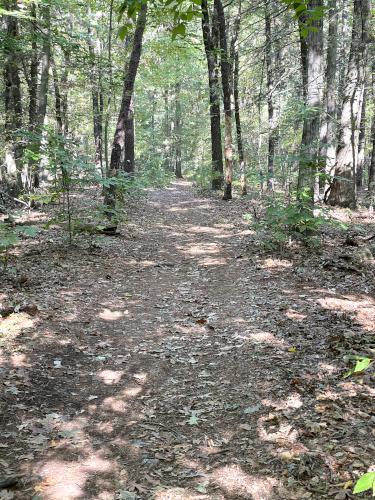 trail in October at Pegan Hill in eastern Massachusetts