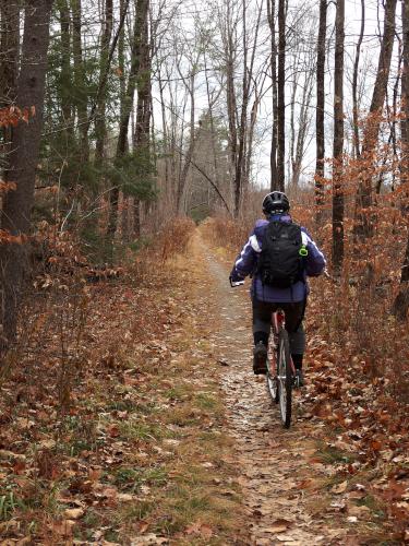 trail in November at Peterborough Rail Trail in southern New Hampshire