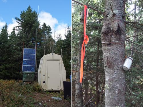 summit features at Philadelphia Peak in northern Vermont