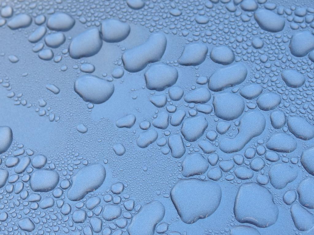 raindrop pattern on a car hood at Phillips Nature Preserve in northeastern Massachusetts