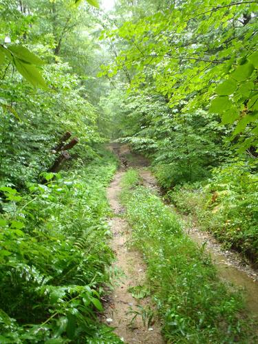 access road for the hike to Pickett Hill in New Hampshire