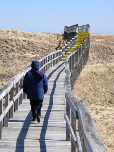 elevated walkway to the beach at Plum Island in Massachusetts