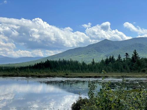 view of Owlshead in August at Pondicherry Wildlife Refuge in New Hampshire