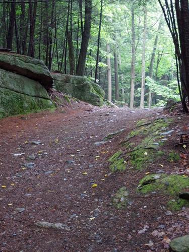 Kilburn Road on the way to Porter Hill at Pisgah State Park in southwestern New Hampshire