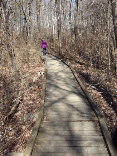 boardwalk in March at Powow Hill in northeast Massachusetts