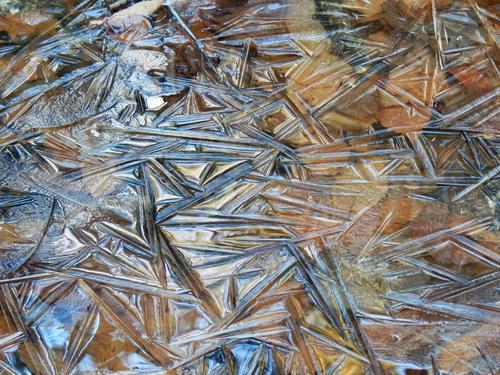 ice pattern at Pulpit Rock Conservation Area in New Hampshire