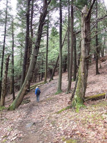 Andee hikes the West Ridge Trail to Putney Mountain in southern Vermont