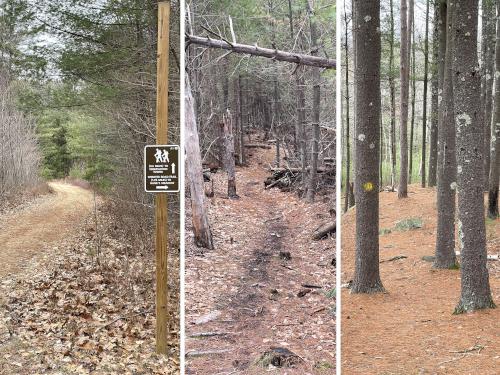 trail in January to Quabbin Hill in central MA