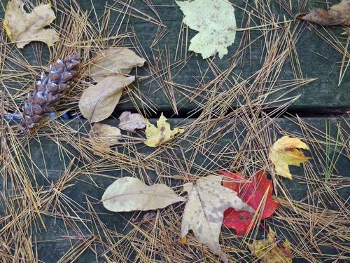 footbridge with fall deocration at Rattlesnake Hill in eastern Massachusetts