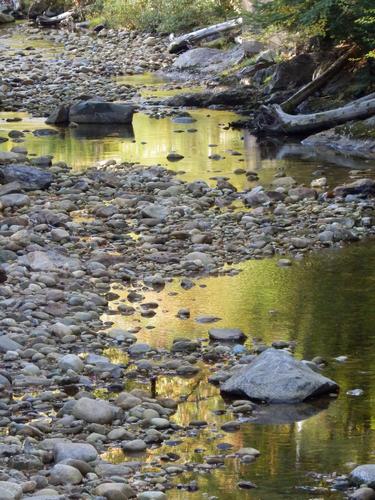 early Fall color reflected in Evans Brook, Maine