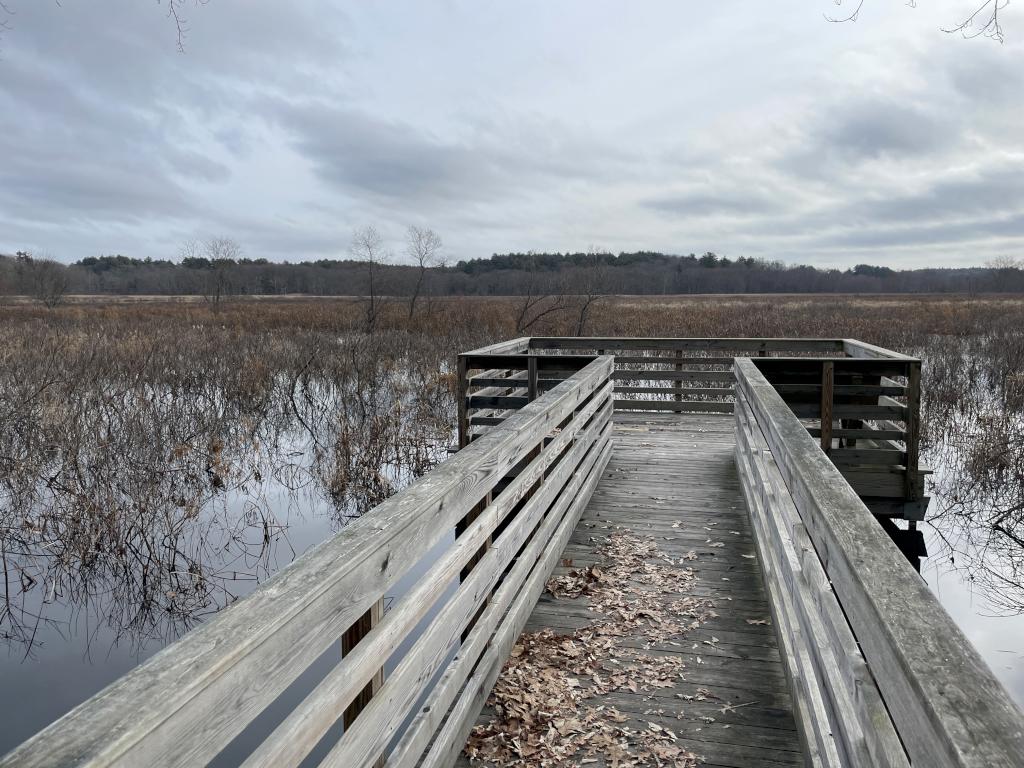 viewing platform in December over Sudbury River Marsh near Round Hill in eastern MA