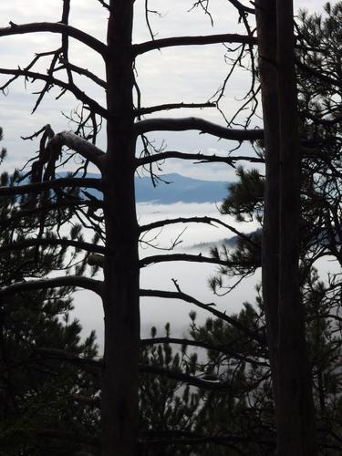 through-the-trees view of undercast mountains from Round Top in New Hampshire