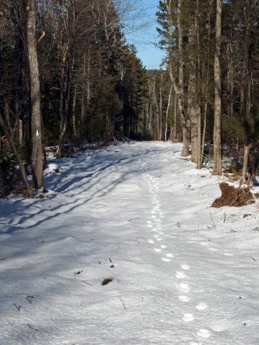 footprints on the trail to Royal Arch Hill in southwest New Hampshire