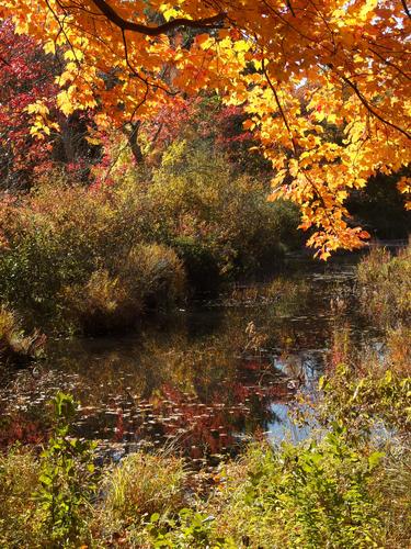 Hitytity Brook at Salem Town Forest in Salem, New Hampshire