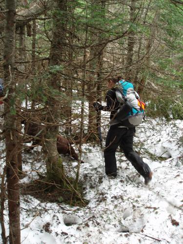 hiker on the way through residual May snow to Salmon Mountain in New Hampshire