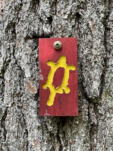 trail blaze in July at Sawyer Mountain near Limington in southwest Maine