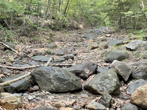 trail in July at Sawyer Mountain near Limington in southwest Maine