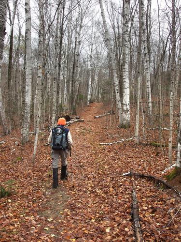 Dick heads up the East Pond Trail on the way to Scar Ridge East Peak in the White Mountains of New Hampshire