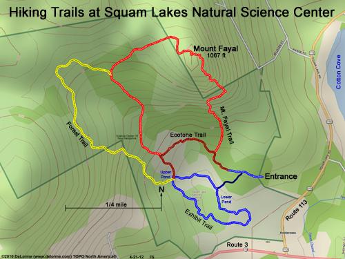 mount fayal gps track