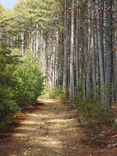 Seccombe Trail in southern New Hampshire