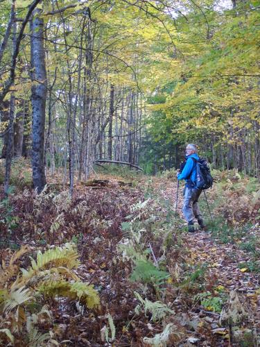 Dick on the trail in Lower Shaker Wildlife Management Area at Shaker Mountain in southwestern New Hampshire