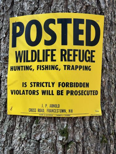 poster in April at Shattuck Pond in southern NH