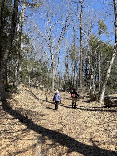 road walk in April at Shattuck Pond in southern NH