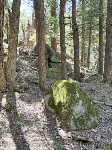 trail in April at Shattuck Pond in southern NH