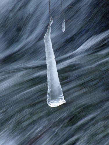 hanging icicle ornament beside the Mount Shaw Trail in New Hampshire