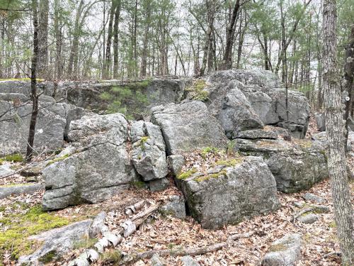 rock in May at Skinner Forest in northeast MA