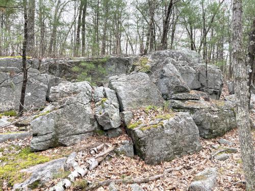 rock in May at Skinner Forest in northeast MA