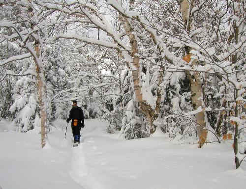 winter hiker on the way to Smarts Mountain in New Hampshire