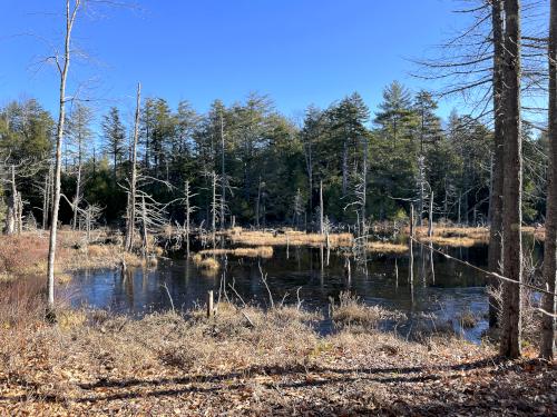 pond in December beside the woods on Smith Hill in New Hampshire