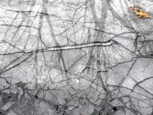 icy patch on the trail in March at South Manchester Rail Trail in southern New Hampshire