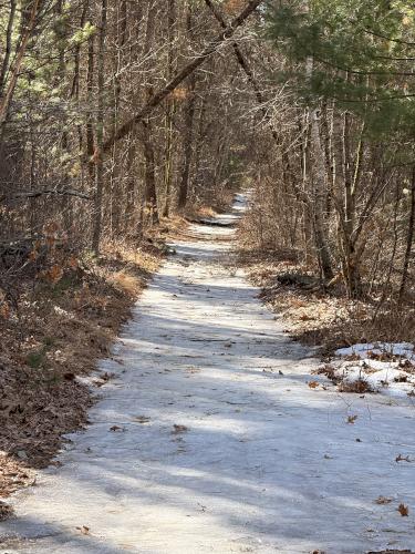icy trail in March at Spaulding-Proctor Reservation in northeast MA