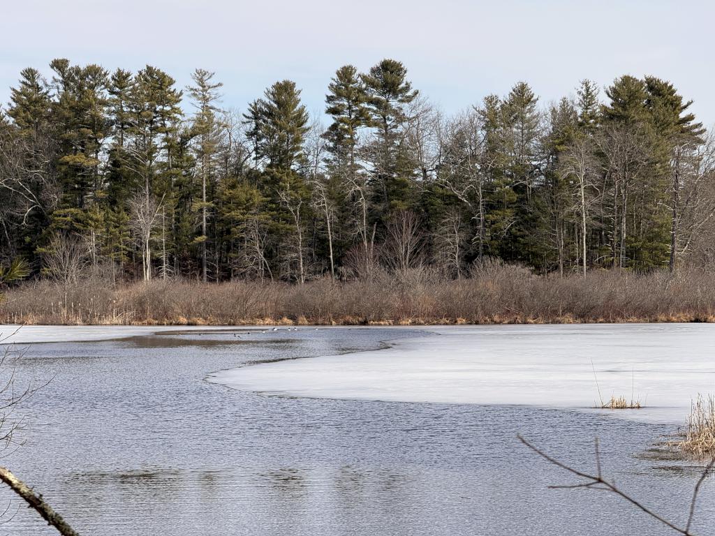 Lower Massapoag Pond in March at Spaulding-Proctor Reservation in northeast MA