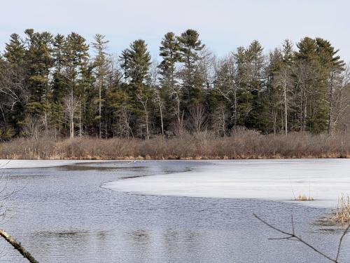 Lower Massapoag Pond in March at Spaulding-Proctor Reservation in northeast MA