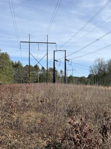 powerline swath in March at Spaulding-Proctor Reservation in northeast MA
