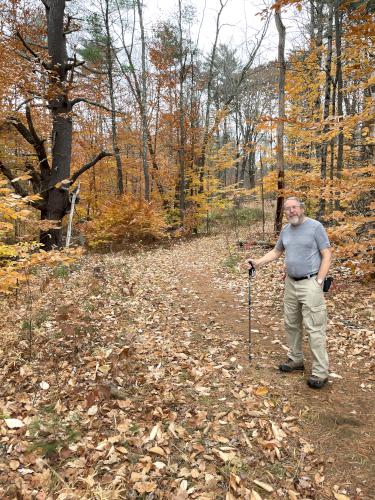 trail in November at Spruce Swamp in southern New Hampshire