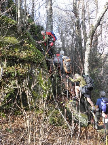 hikers head up a steep section of the Crawford-Ridgepole Trail in New Hampshire