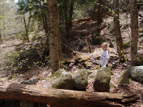 young bushwhacker on the way down from Stewarts Peak in New Hampshire