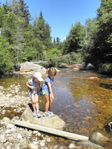 young hikers exploring Zealand River on the trail to Middle Sugarloaf Mountain in New Hampshire