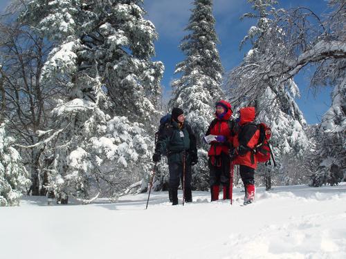 hikers at the col between Teapot and Goback mountains in New Hampshire